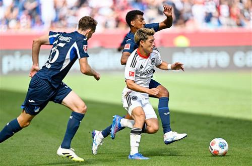 TSG 霍芬海姆 vs 法蘭克福